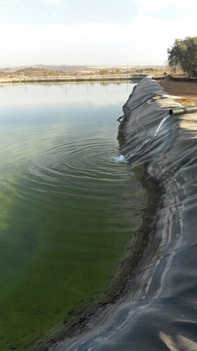 8 sovrum Finca/Hus på landet till salu i Antequera - 8 000 000 € (Ref: 9364015)