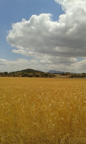 8 sovrum Finca/Hus på landet till salu i Antequera - 8 000 000 € (Ref: 9364015)