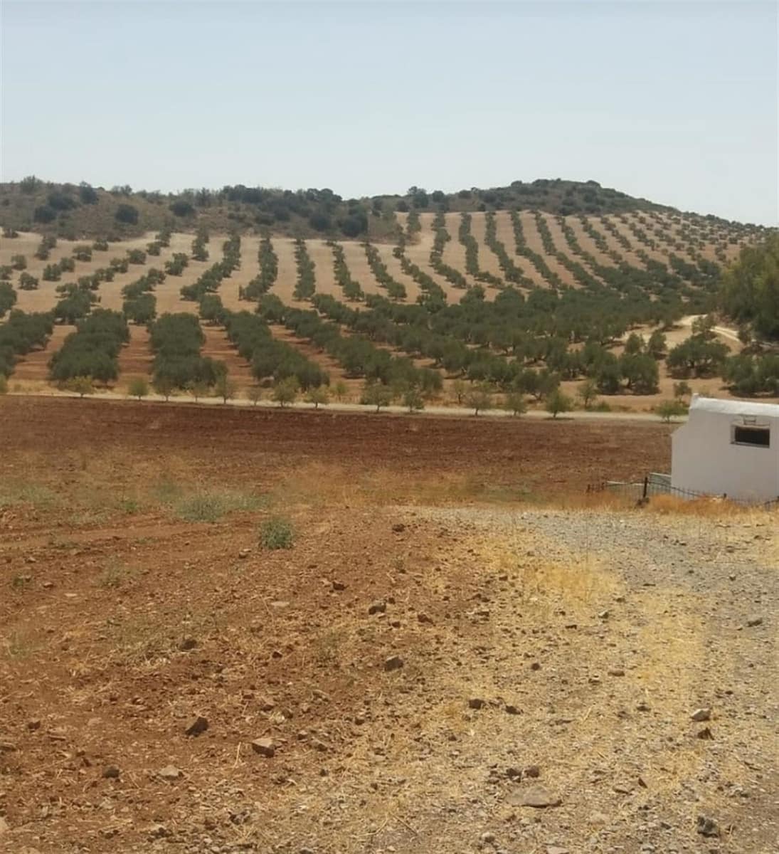 8 sovrum Finca/Hus på landet till salu i Antequera - 8 000 000 € (Ref: 9364015)