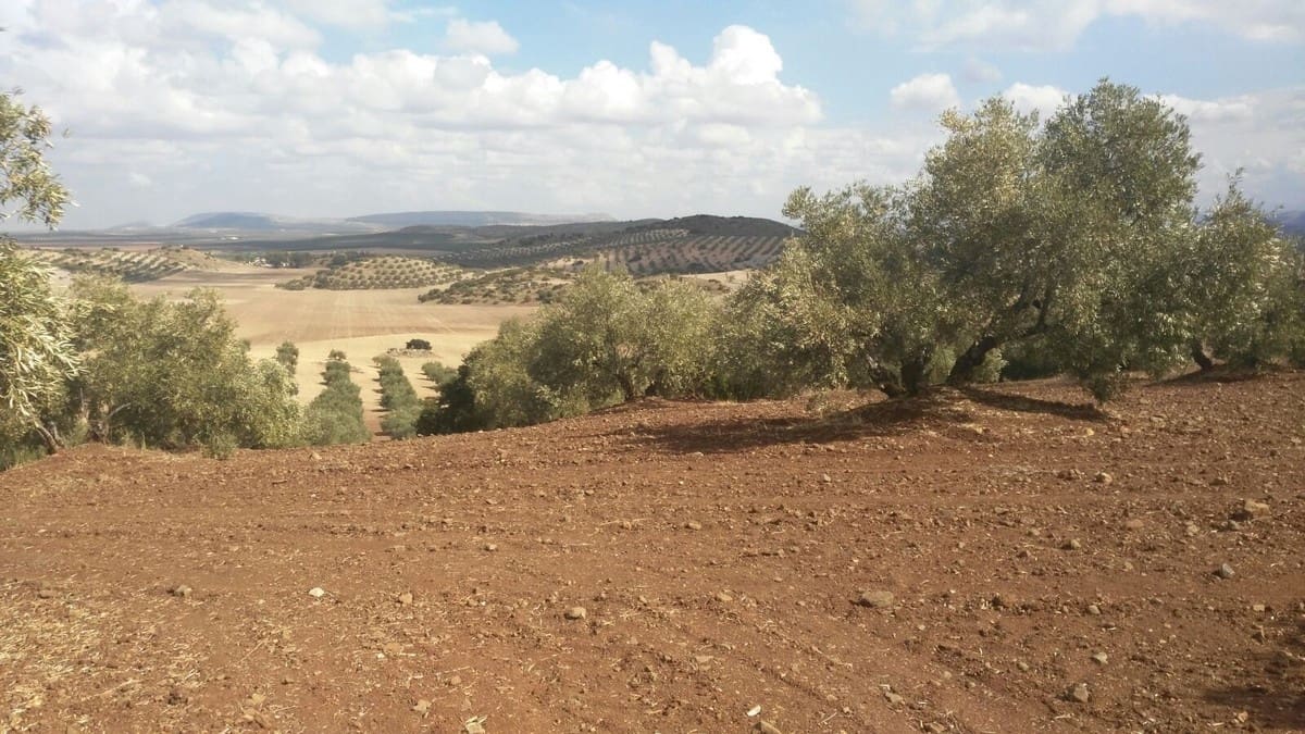 8 sovrum Finca/Hus på landet till salu i Antequera - 8 000 000 € (Ref: 9364015)