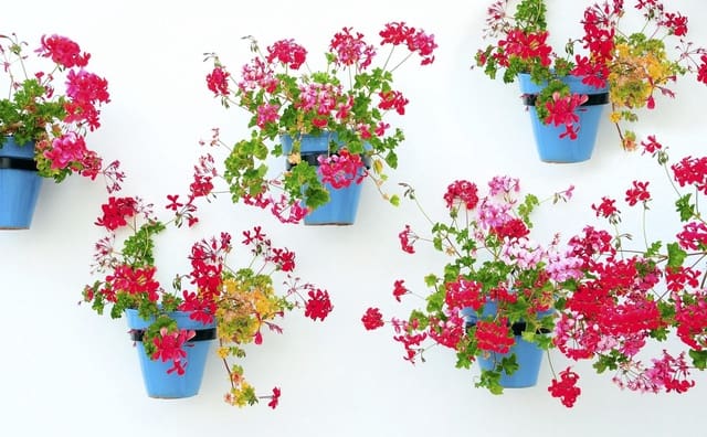 2 slaapkamer Appartement te koop in Mijas pueblo, Mijas - € 535.000 (Ref: 9365269)