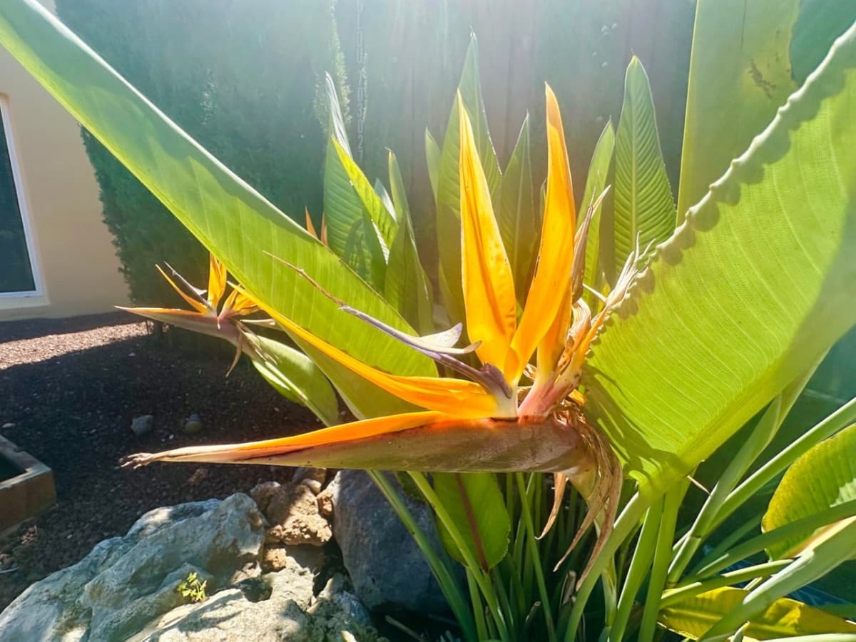 4 bedroom Villa for sale in Javea / Xabia - € 795,000 (Ref: 9380212)