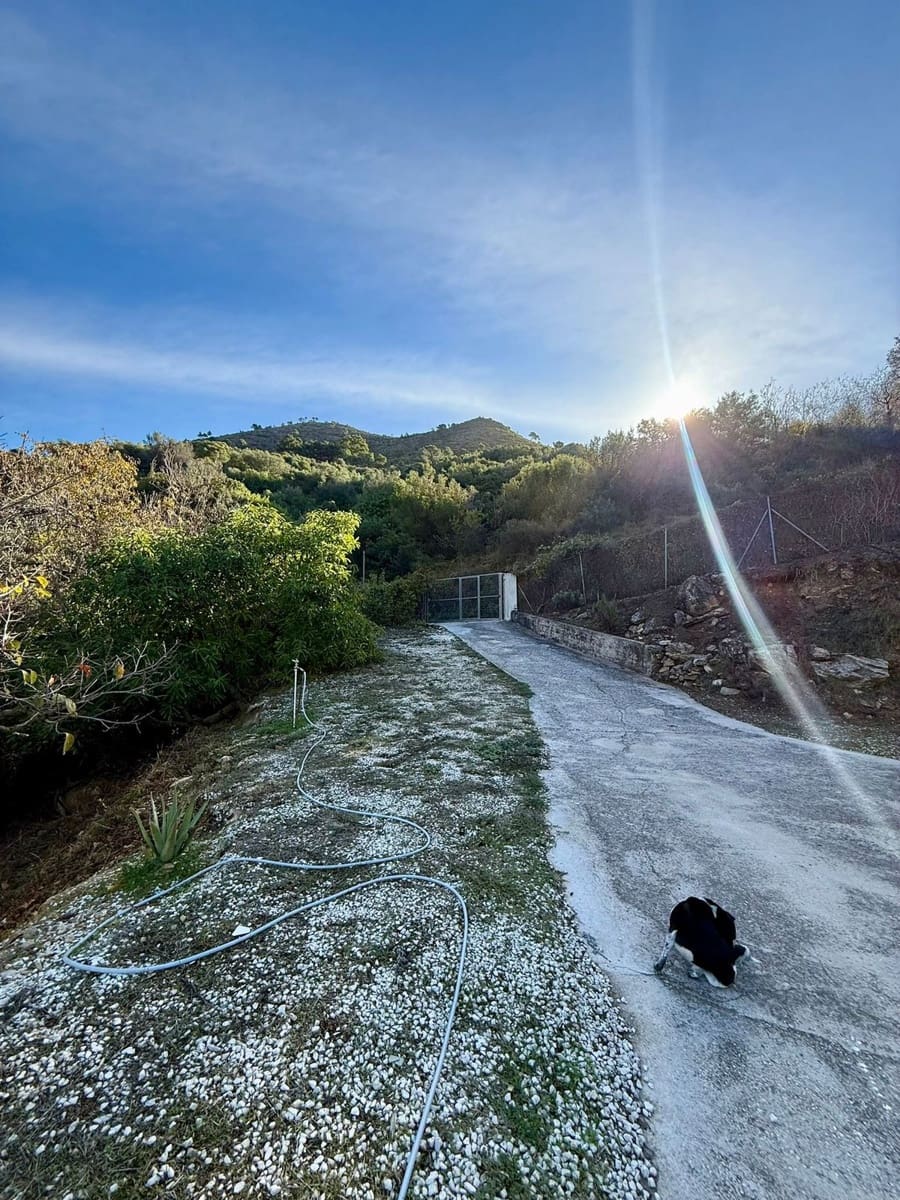 3 quarto Quinta/Casa Rural para venda em Ojen - 550 000 € (Ref: 9380267)