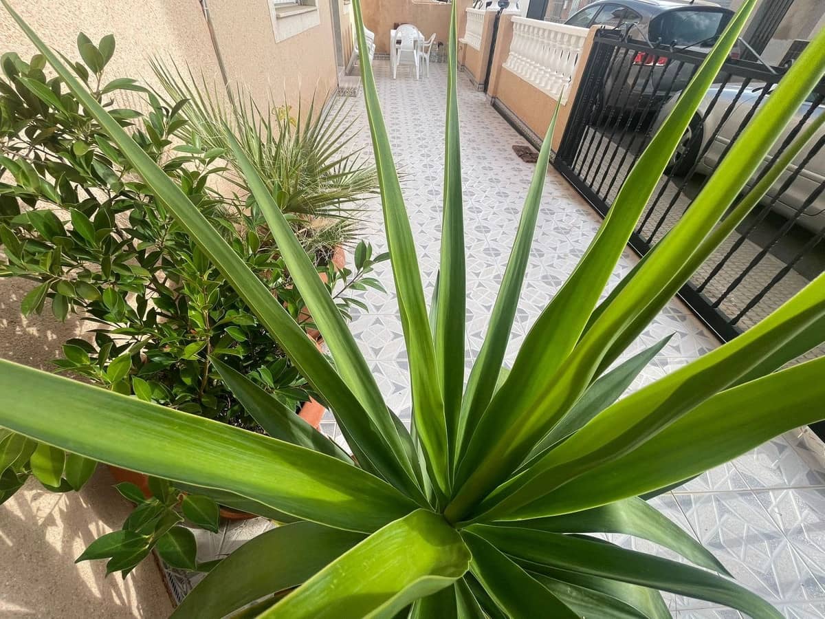 4 soverom Finca/Herregård til salgs i Lo Pagan - € 217 000 (Ref: 9380279)