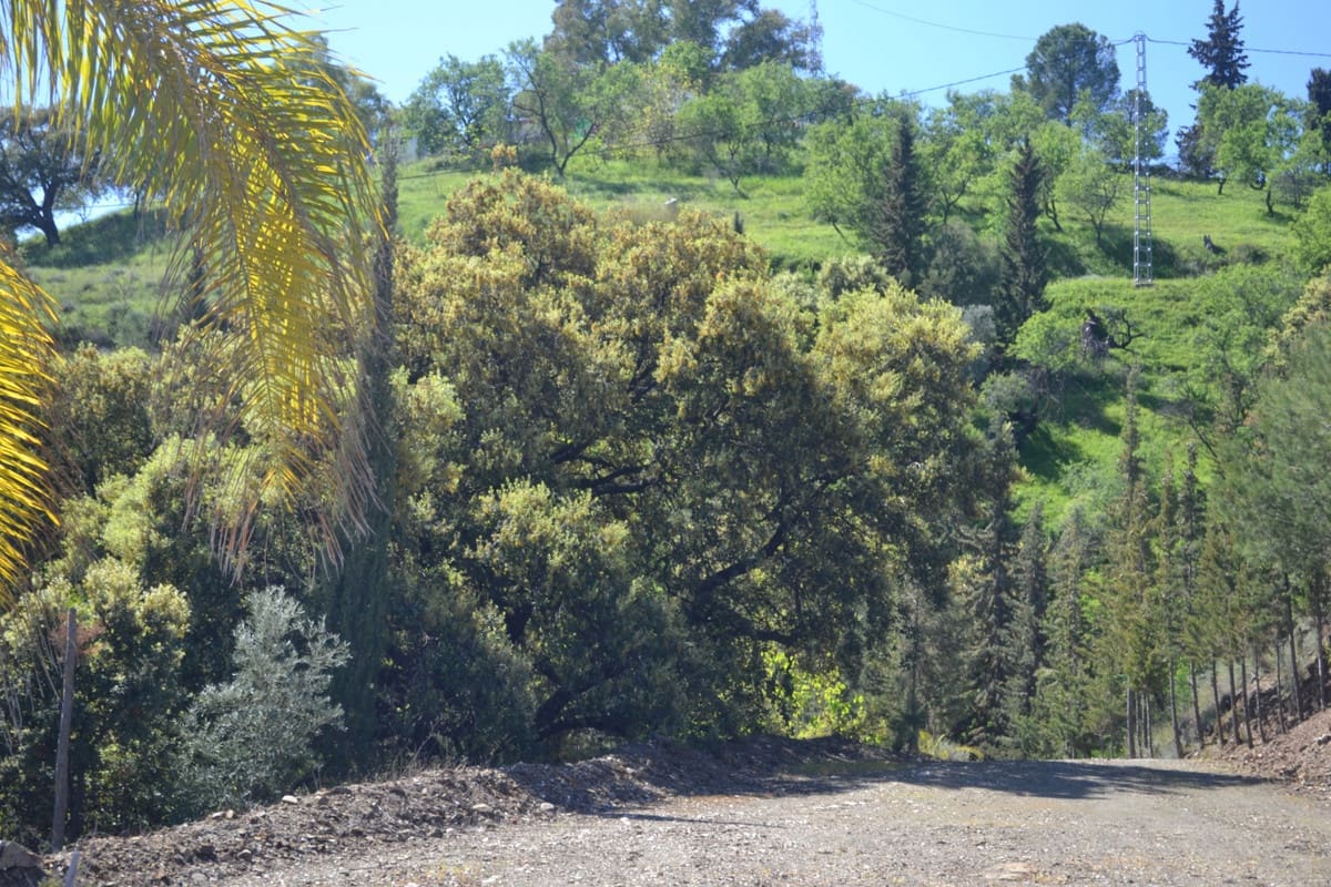 5 soveværelse Finca/Landehus til salg i Coin - € 1.495.000 (Ref: 9380538)