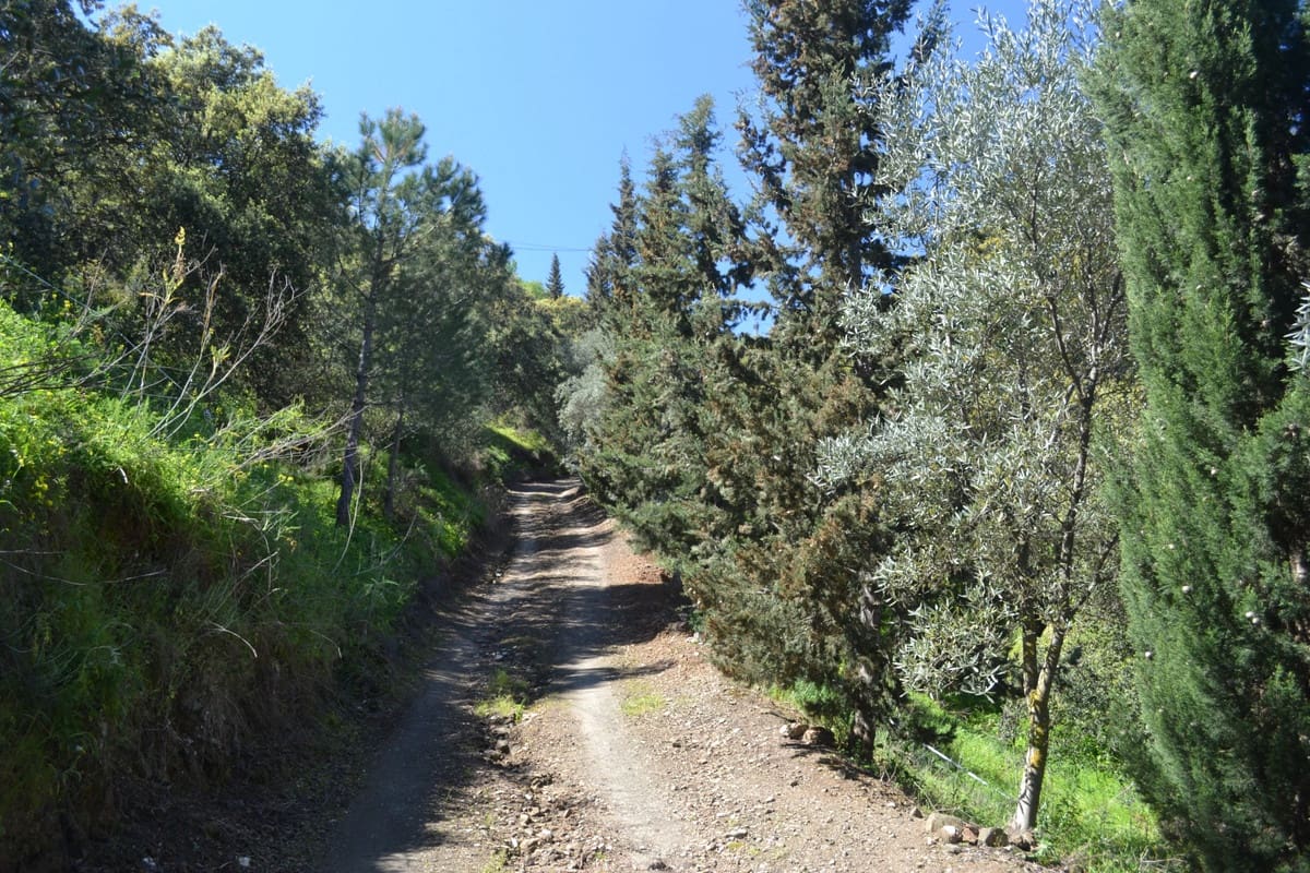 5 soveværelse Finca/Landehus til salg i Coin - € 1.495.000 (Ref: 9380538)