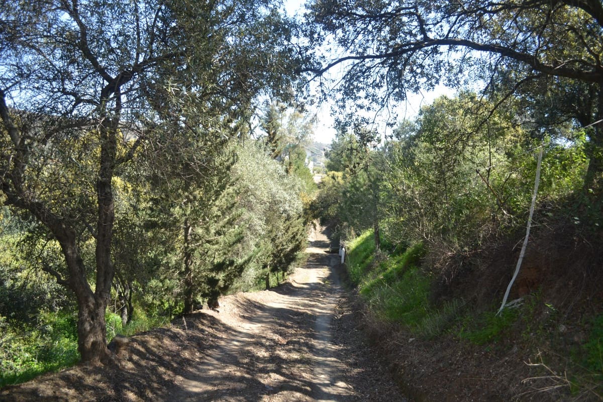 5 soveværelse Finca/Landehus til salg i Coin - € 1.495.000 (Ref: 9380538)