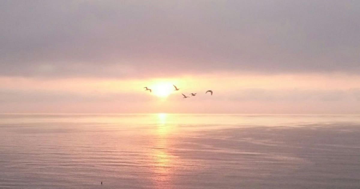 3 Zimmer Penthouse zu verkaufen in Fuengirola - 998.000 € (Ref: 9380655)