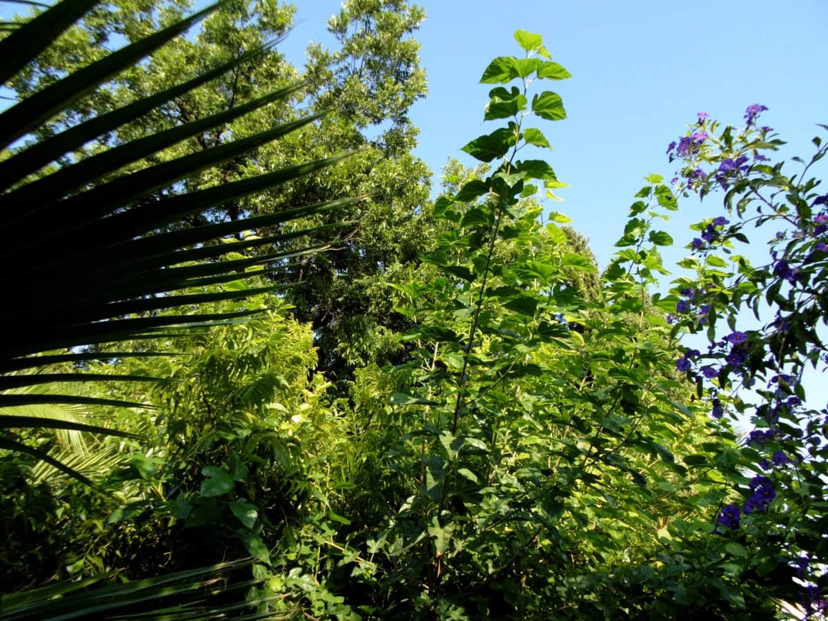 Chalet de 6 habitaciones en Coín en venta - 915.000 € (Ref: 9380689)