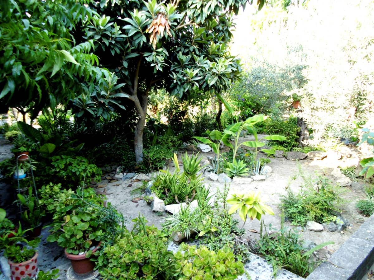 Chalet de 6 habitaciones en Coín en venta - 915.000 € (Ref: 9380689)