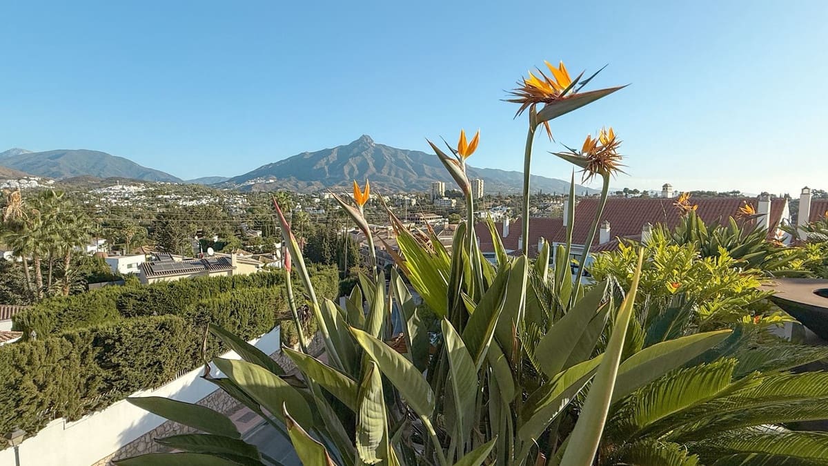 3 quarto Penthouse para venda em Nueva Andalucia - 1 250 000 € (Ref: 9380708)