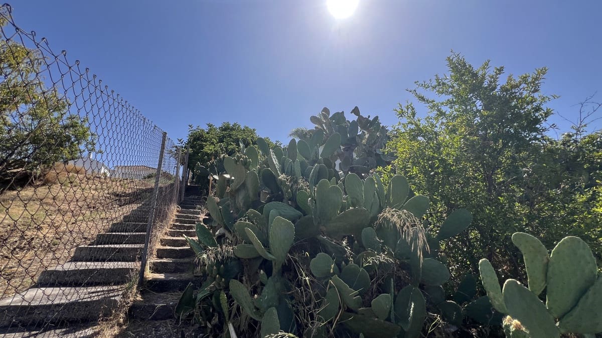 3 quarto Quinta/Casa Rural para venda em El Velerin - 1 075 000 € (Ref: 9386805)