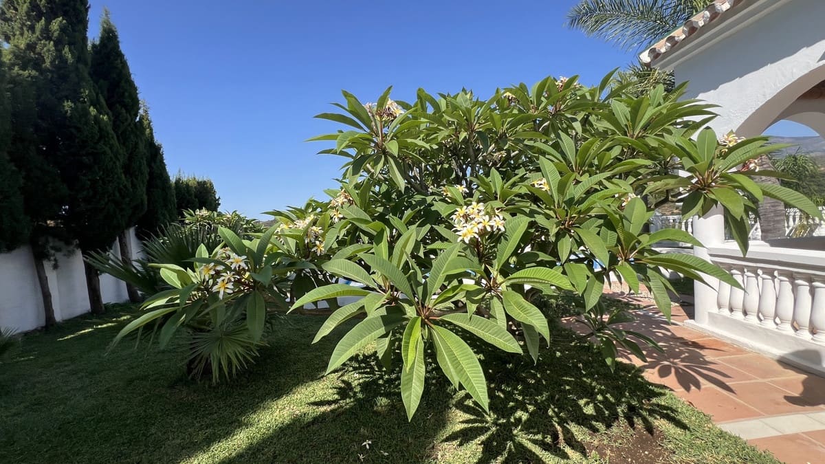 3 quarto Quinta/Casa Rural para venda em El Velerin - 1 075 000 € (Ref: 9386805)