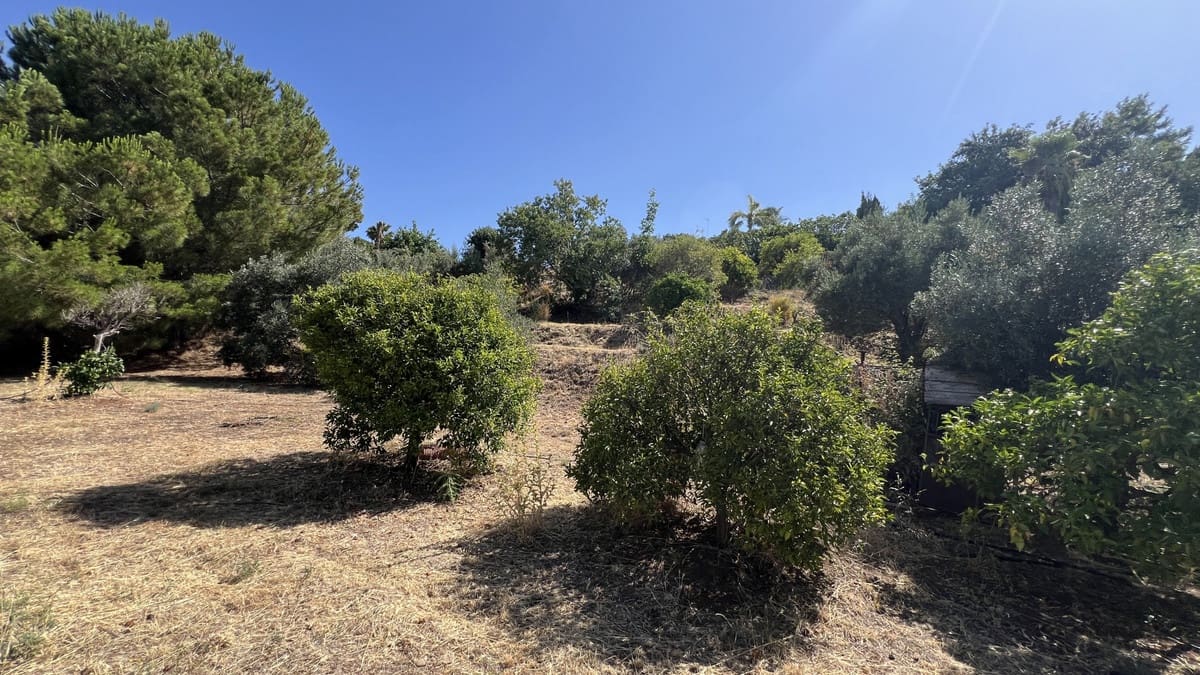 3 quarto Quinta/Casa Rural para venda em El Velerin - 1 075 000 € (Ref: 9386805)