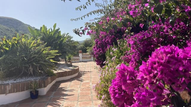 3 soveværelse Finca/Landehus til salg i La Duquesa / Puerto de la Duquesa, Manilva - € 675.000 (Ref: 9386807)