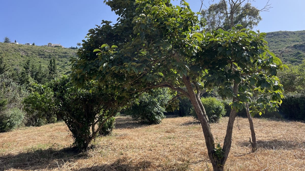 3 Zimmer Finca/Landgut zu verkaufen in La Duquesa / Puerto de la Duquesa - 675.000 € (Ref: 9386807)