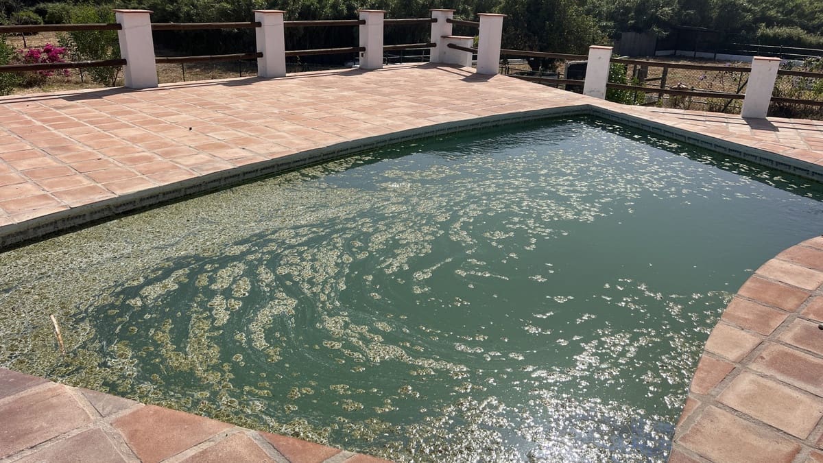 3 Zimmer Finca/Landgut zu verkaufen in La Duquesa / Puerto de la Duquesa - 675.000 € (Ref: 9386807)