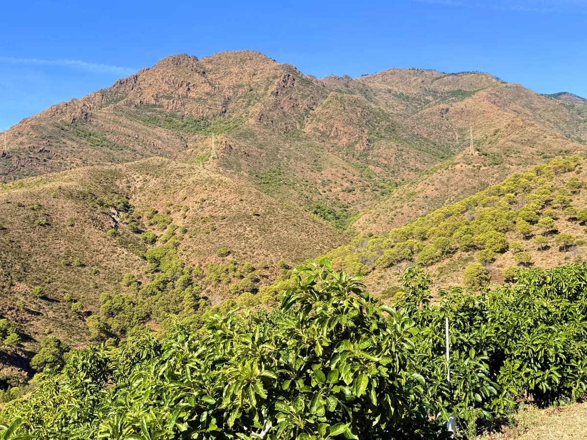 4 sypialnia Willa na sprzedaż w Estepona z basenem - 550 000 € (Ref: 9413333)