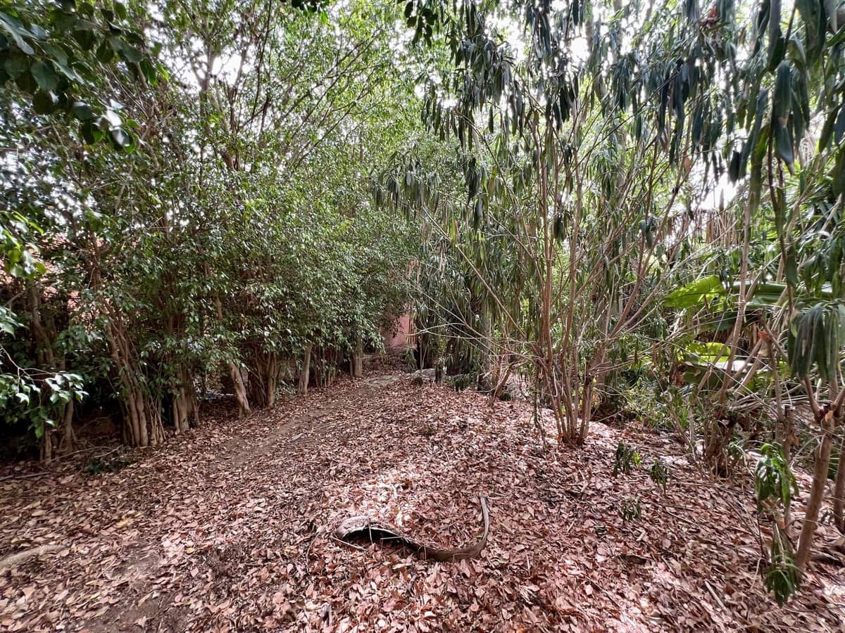 8 Zimmer Villa zu verkaufen in Mijas Golf - 950.000 € (Ref: 9413335)