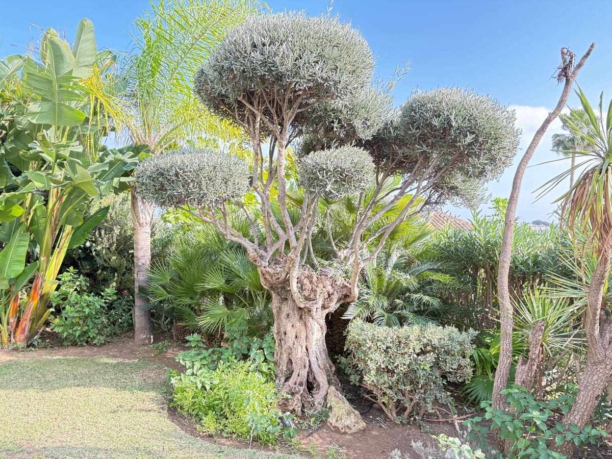 5 soveværelse Villa til salg i El Paraiso med swimmingpool - € 1.780.000 (Ref: 9415248)