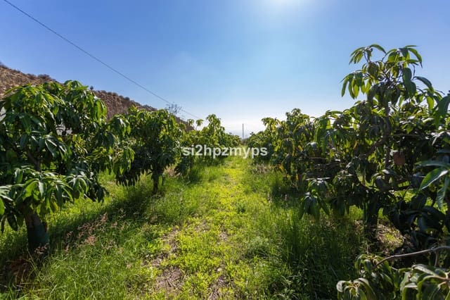 2 sovrum Villa till salu i Algarrobo Costa, Algarrobo med pool - 435 900 € (Ref: 9439088)