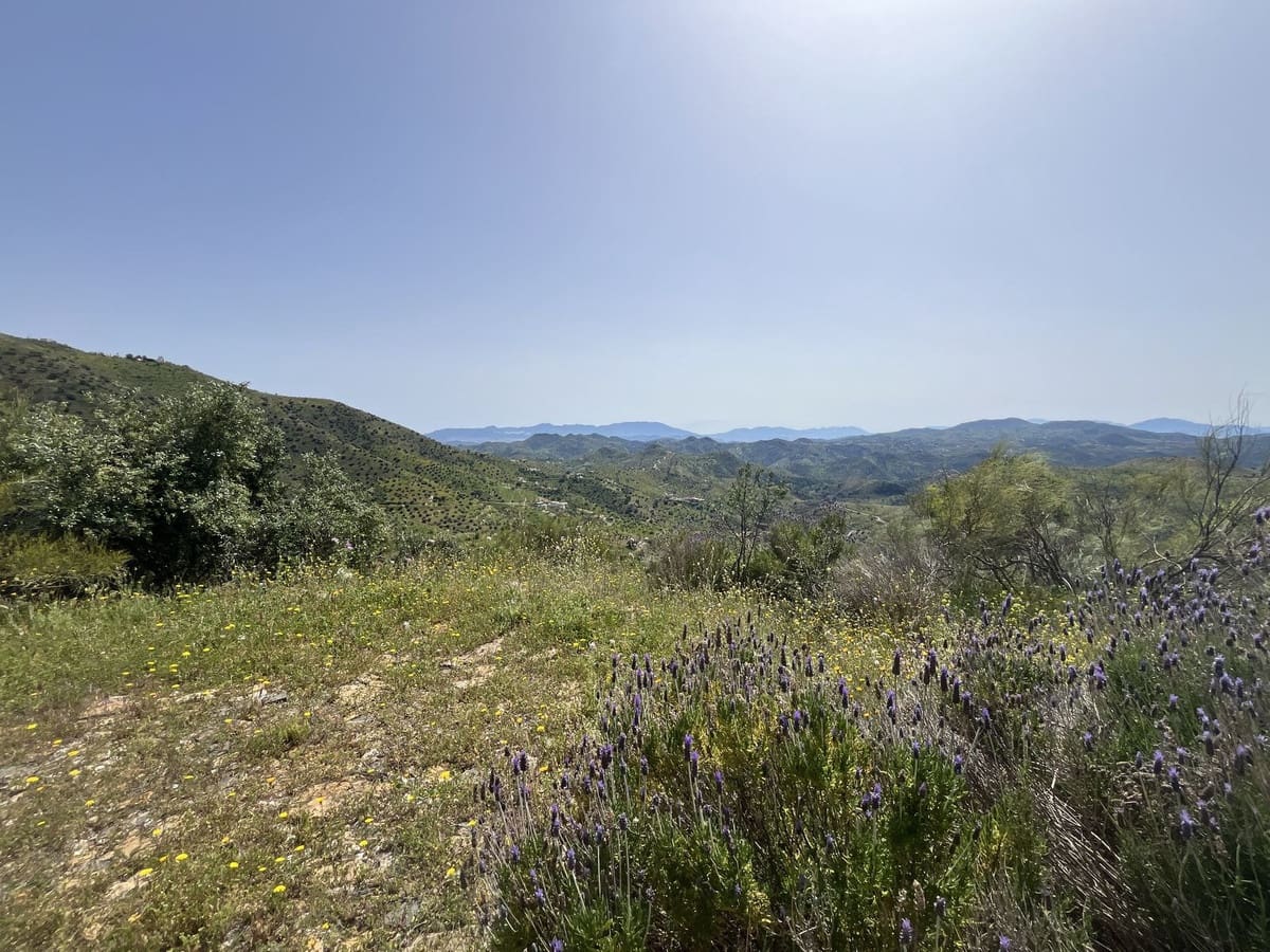 4 quarto Quinta/Casa Rural para venda em Almogia - 299 000 € (Ref: 9439123)