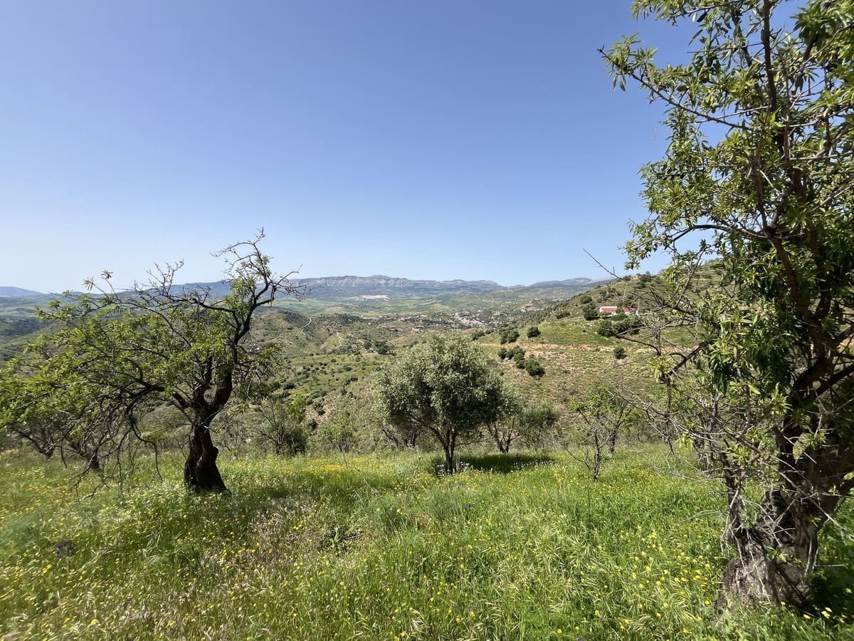 4 quarto Quinta/Casa Rural para venda em Almogia - 299 000 € (Ref: 9439123)