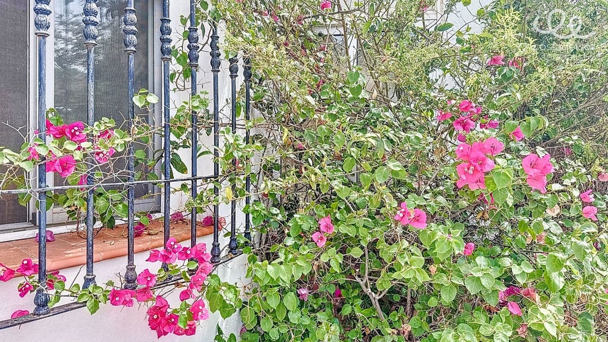 4 chambre Finca/Maison de Campagne à vendre à Comares - 349 000 € (Ref: 9439131)