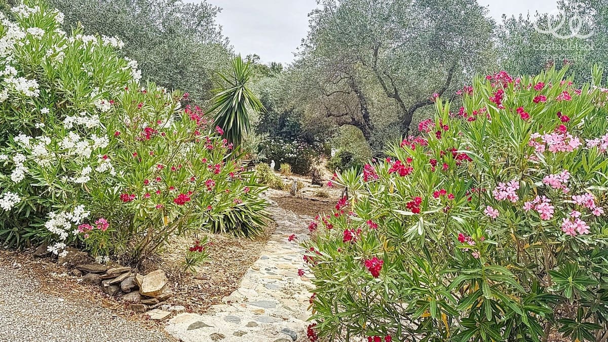 4 chambre Finca/Maison de Campagne à vendre à Comares - 349 000 € (Ref: 9439131)