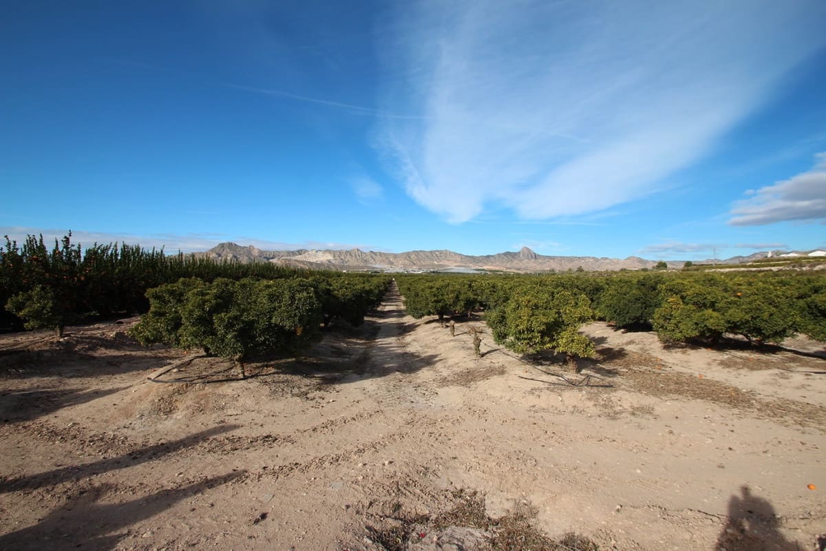 6 slaapkamer Finca/Landhuis te koop in La Murada - € 1.499.000 (Ref: 9439132)