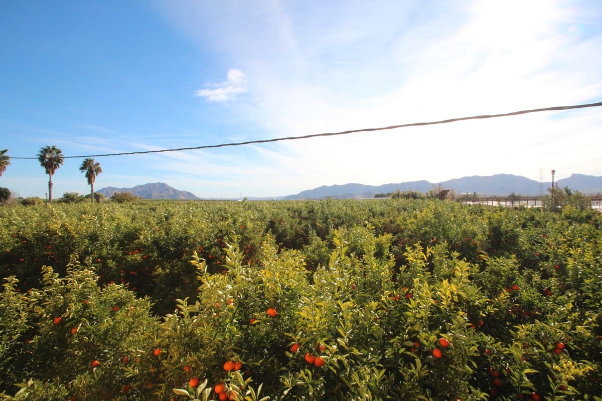 6 slaapkamer Finca/Landhuis te koop in La Murada - € 1.499.000 (Ref: 9439132)