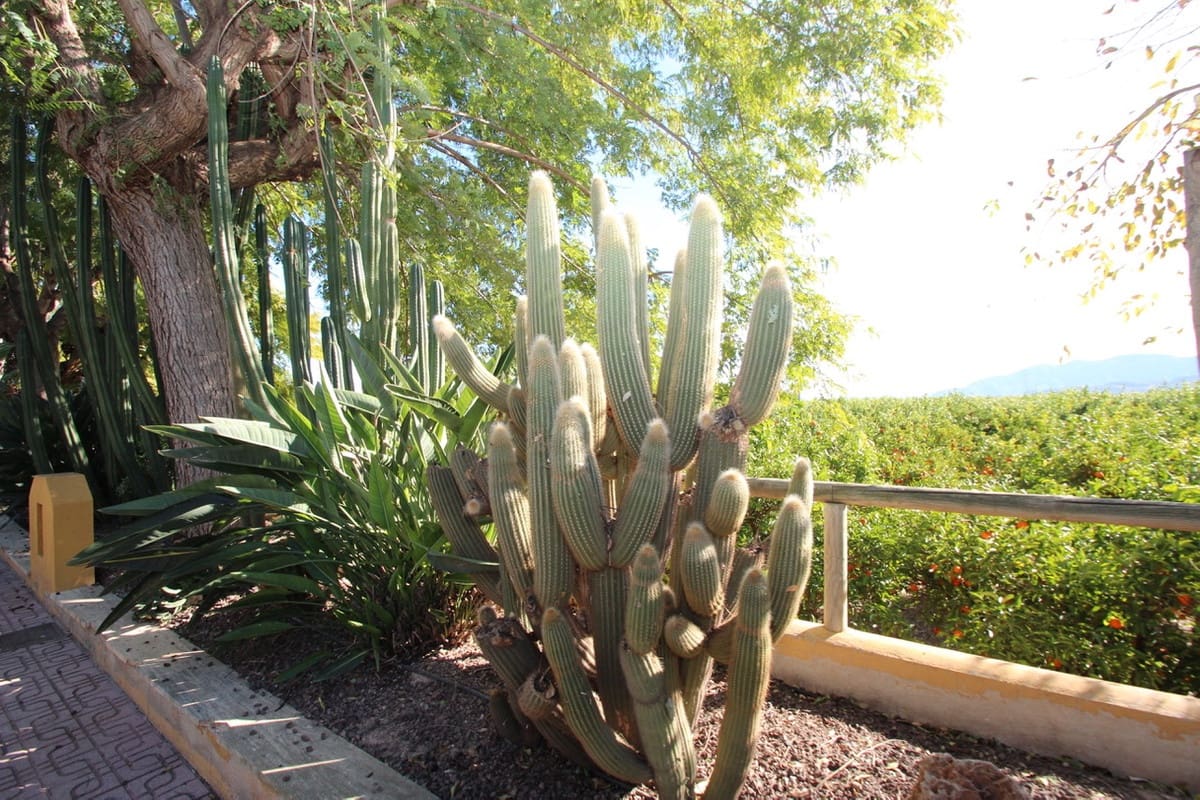 6 slaapkamer Finca/Landhuis te koop in La Murada - € 1.499.000 (Ref: 9439132)