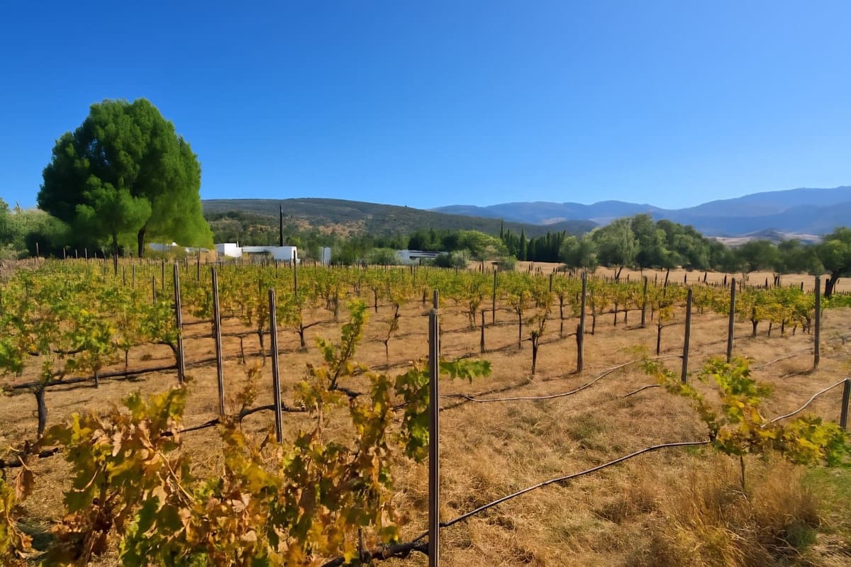 5 soverom Villa til salgs i Ronda - € 695 000 (Ref: 9439135)