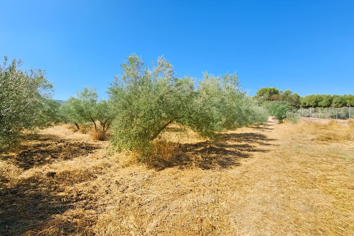 5 soverom Villa til salgs i Ronda - € 695 000 (Ref: 9439135)