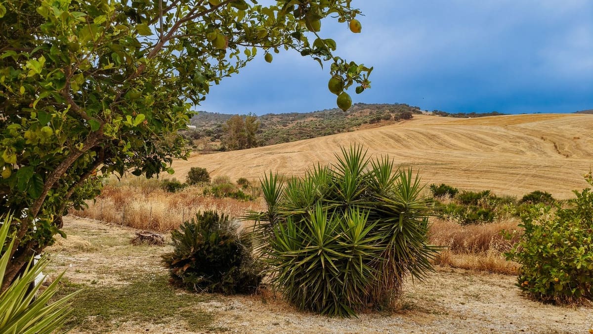 3 bedroom Finca/Country House for sale in Almogia - € 295,000 (Ref: 9439138)