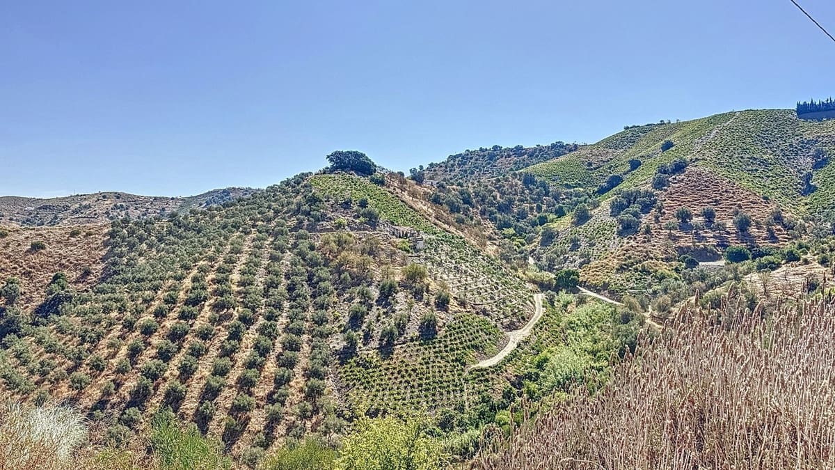 3 soveværelse Finca/Landehus til salg i Almachar - € 239.000 (Ref: 9439141)