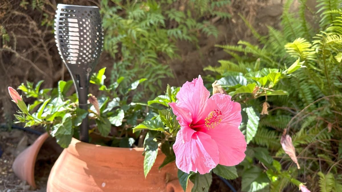 3 soverom Villa til salgs i Arenas - € 695 000 (Ref: 9439144)