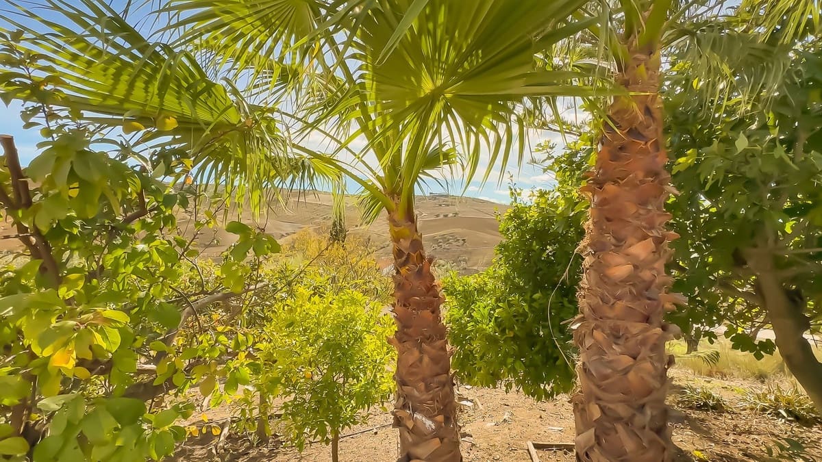 2 chambre Finca/Maison de Campagne à vendre à Villanueva de la Concepcion - 290 000 € (Ref: 9439147)