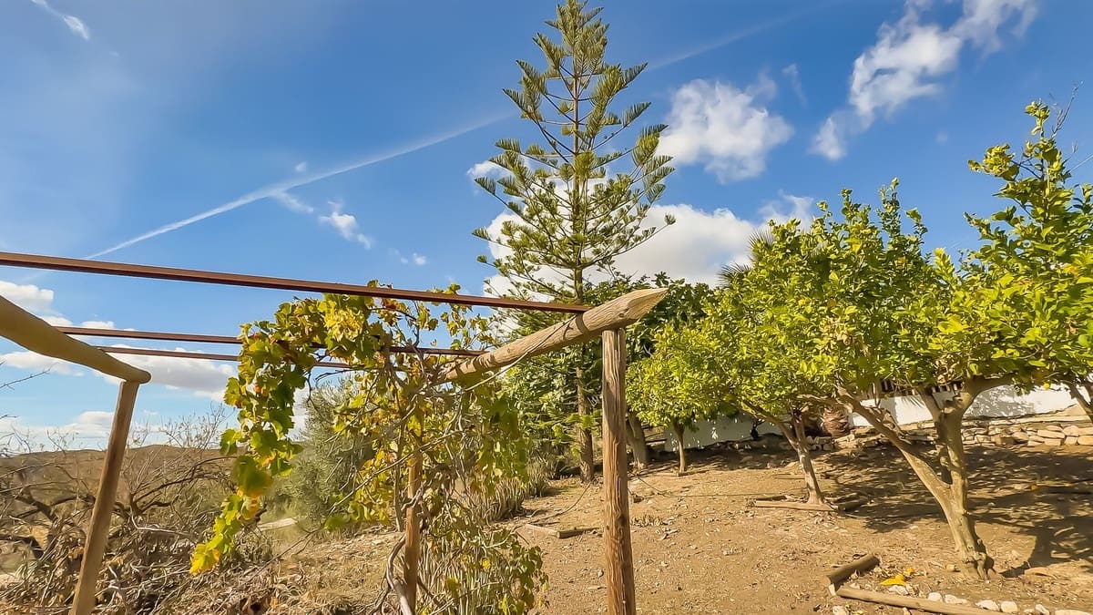 2 chambre Finca/Maison de Campagne à vendre à Villanueva de la Concepcion - 290 000 € (Ref: 9439147)