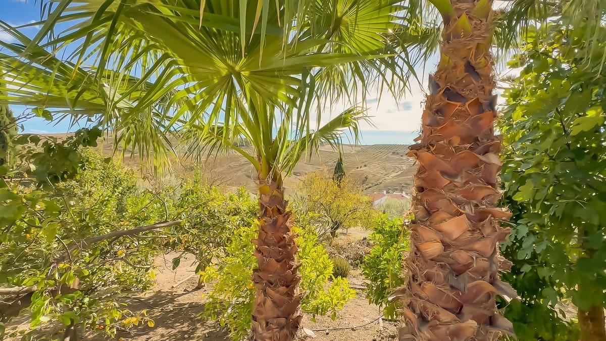 2 chambre Finca/Maison de Campagne à vendre à Villanueva de la Concepcion - 290 000 € (Ref: 9439147)