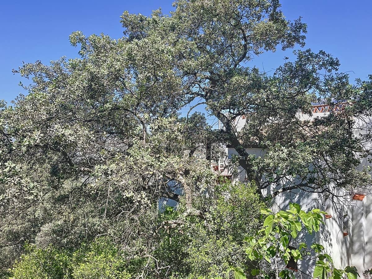 4 soverom Finca/Herregård til salgs i Comares - € 324 000 (Ref: 9439150)