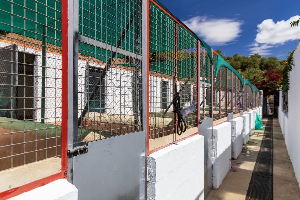 4 soverom Finca/Herregård til salgs i Almogia med svømmebasseng - € 299 000 (Ref: 9439157)