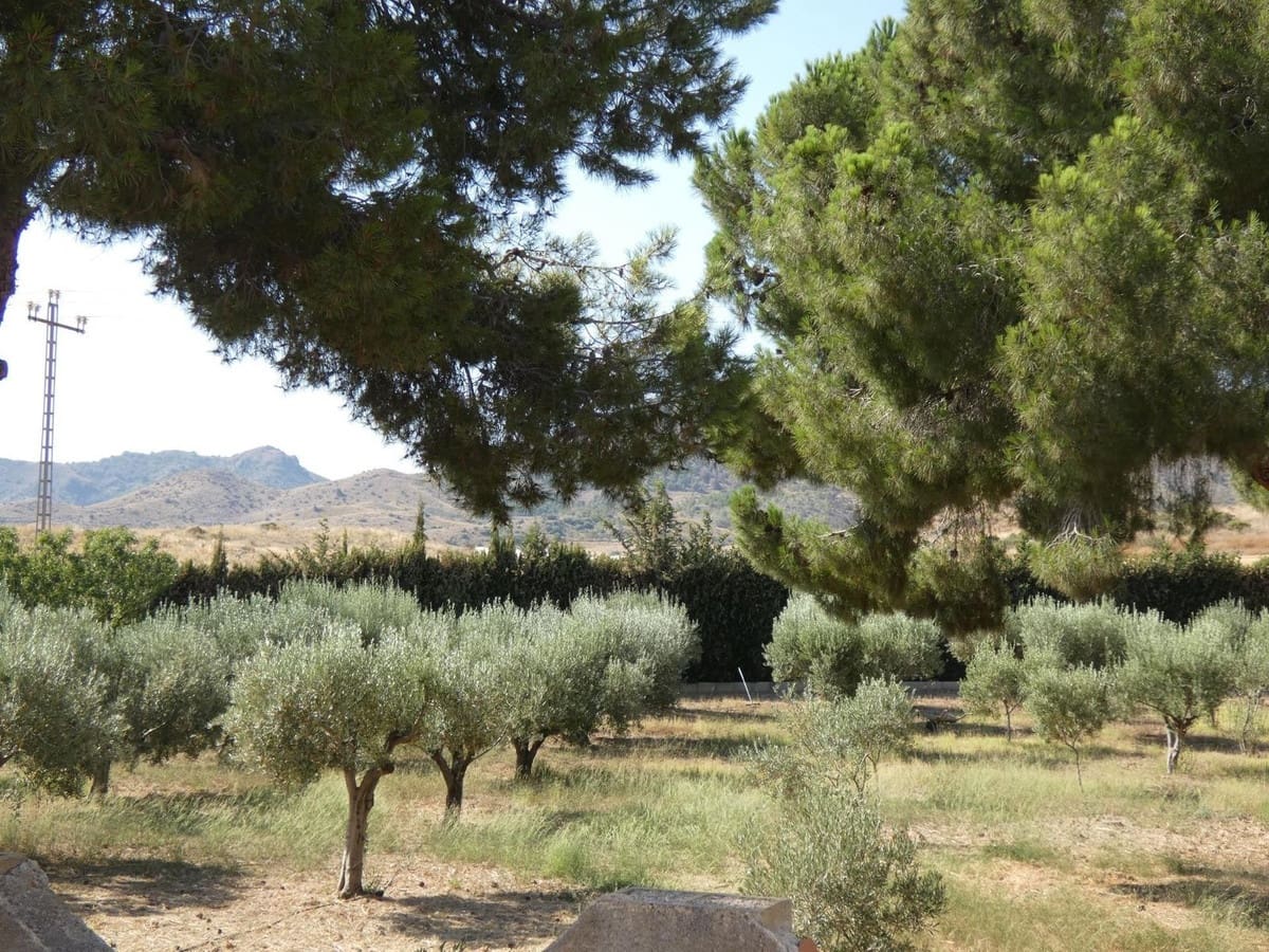 4 makuuhuone Huvila myytävänä paikassa Atalaya - 599 000 € (Ref: 9439236)