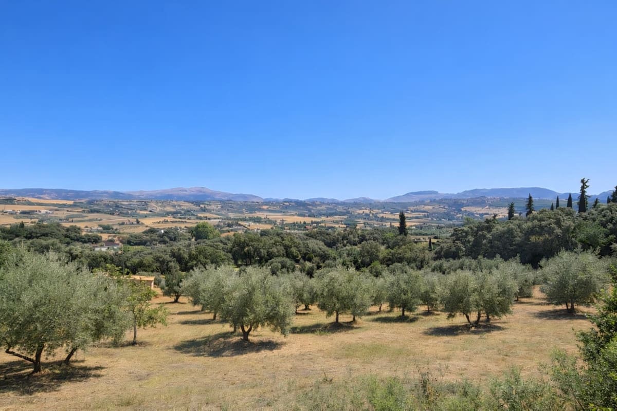 3 sypialnia Willa na sprzedaż w Ronda - 550 000 € (Ref: 9439260)