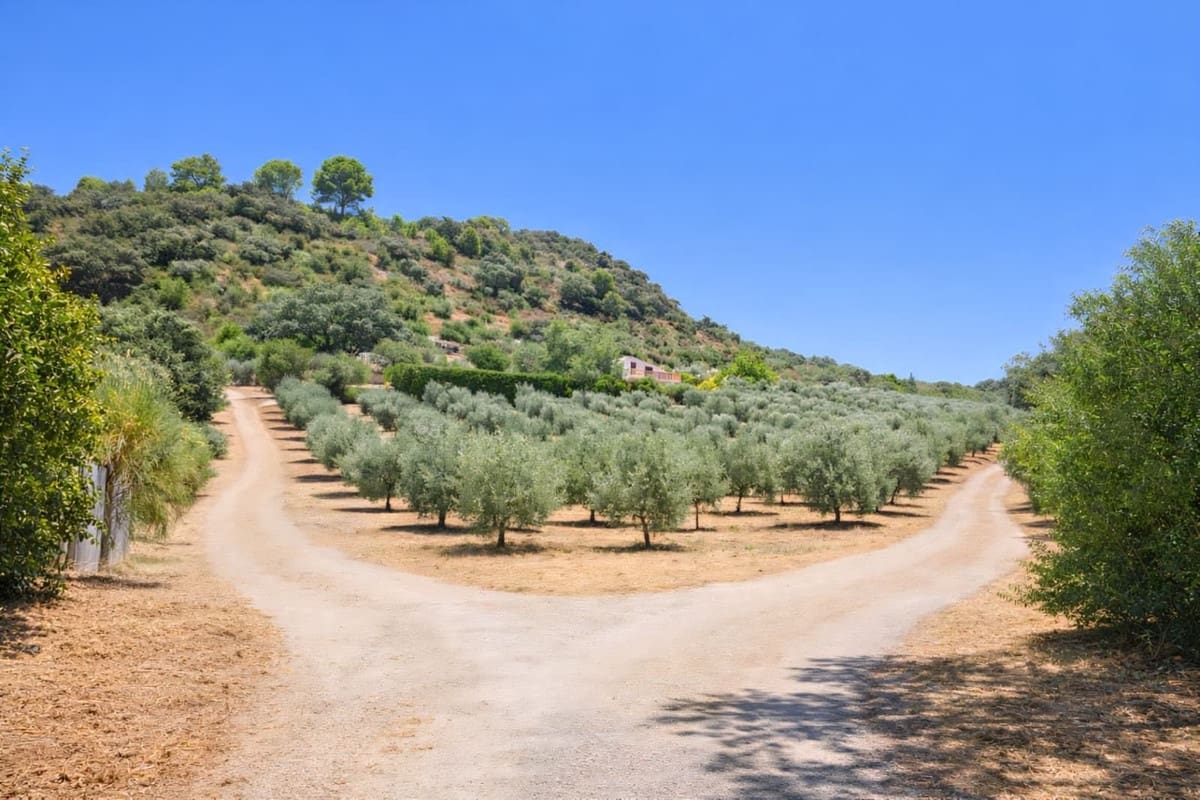 3 sypialnia Willa na sprzedaż w Ronda - 550 000 € (Ref: 9439260)