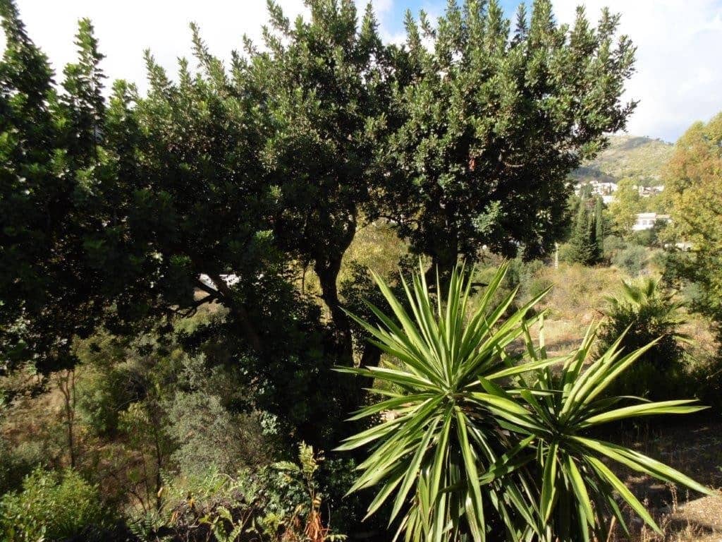 5 quarto Moradia para venda em Mijas - 1 200 000 € (Ref: 9439271)