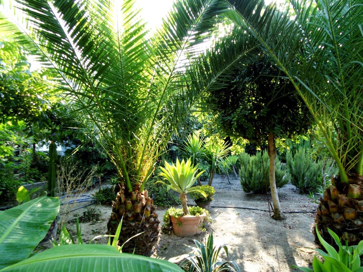 6 bedroom Villa for sale in Coin with pool - € 915,000 (Ref: 9488567)