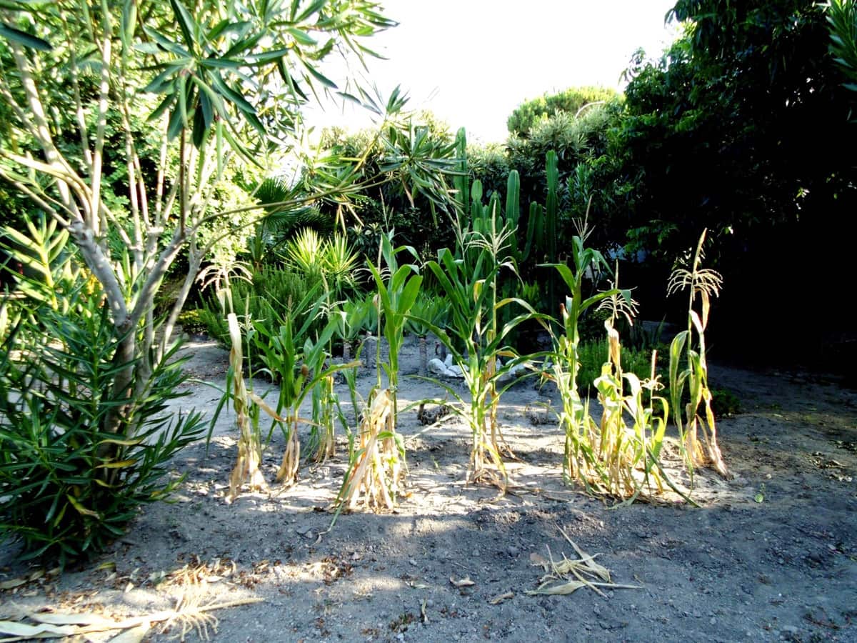 6 bedroom Villa for sale in Coin with pool - € 915,000 (Ref: 9488567)