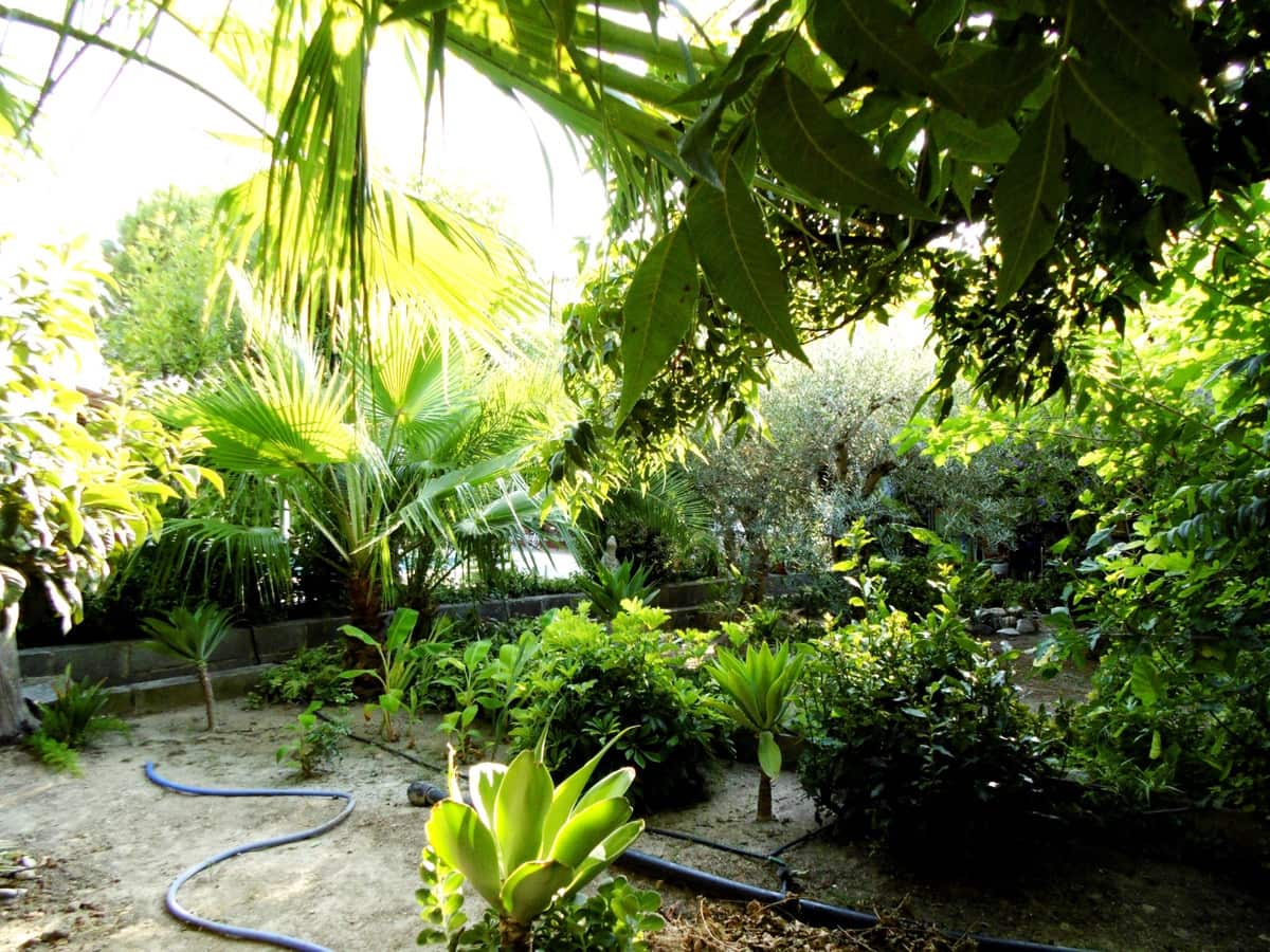 6 bedroom Villa for sale in Coin with pool - € 915,000 (Ref: 9488567)