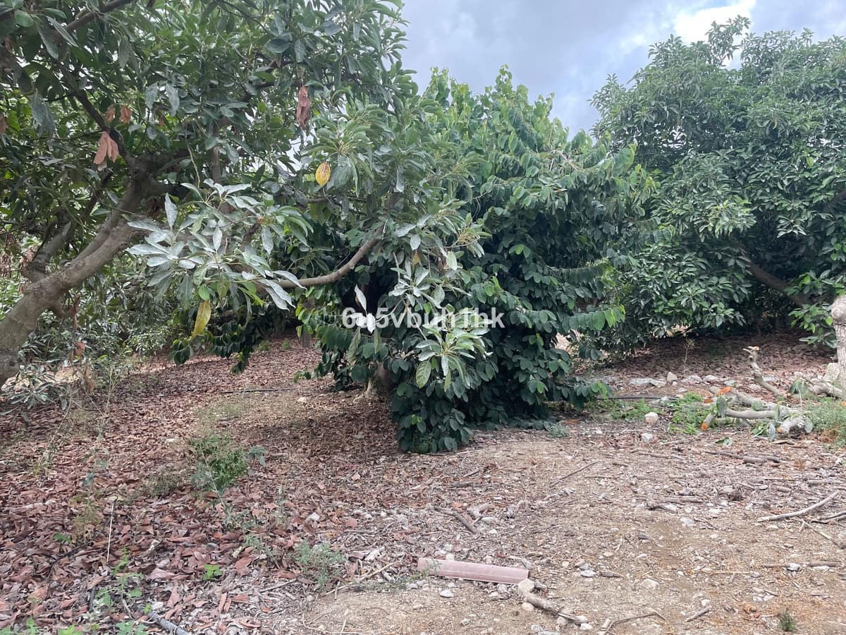 2 bedroom Finca/Country House for sale in Coin - € 320,000 (Ref: 9518138)